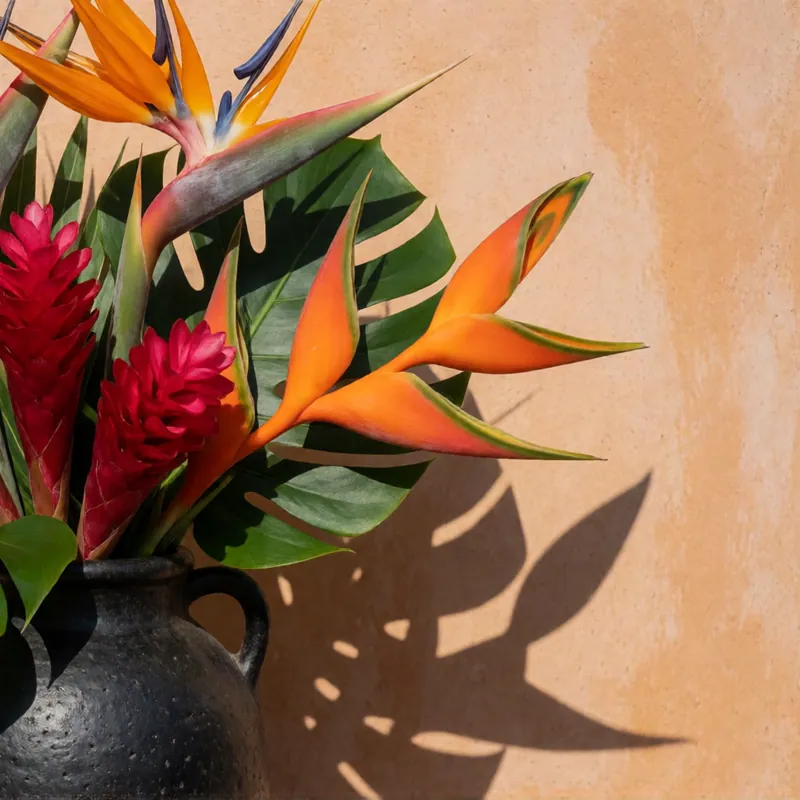 Tropical statement — birds of paradise and monstera